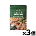 【メール便送料無料】 万田酵素 STANDARD スタンダード 分包タイプ 【2.5g×31包】×3個 4909882100302*3(4)