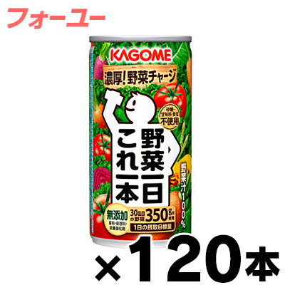 【送料無料！】 120缶入り カゴメ　野菜一日これ一本　190g 4ケース 【本ページ以外の同時注文同梱不可】　4901306186602*4