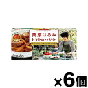 エスビー食品 栗原はるみ トマトのハヤシ 97g×6個 4901002182984*6