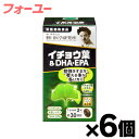 【送料無料!】 野口医学研究所 イチョウ葉＆DHA・EPA 60粒×6個　4562193141824*6