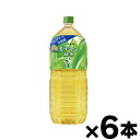 伊藤園 お~いお茶 カテキン緑茶 2L×6本 ※他商品同時注文同梱不可 4901085642184*6