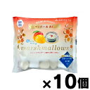 夏季限定品!明治屋 夏を楽しむマシュマロ マンゴー&杏仁 70g×10個 4902701925629*10