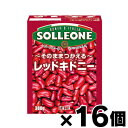 ソル・レオーネ レッドキドニービーンズ 【テトラパック】 380g×16個 4980434342074*16