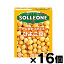 ソル・レオーネ ひよこ豆 【テトラパック】 380g×16個 4980434342050*16