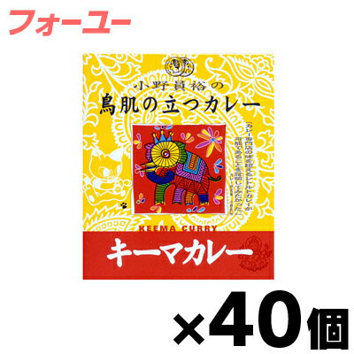 【送料無料！】 MCC食品 小野員裕の鳥肌の立つカレー 「キーマカレー」 200g×40個 4901012042391 40