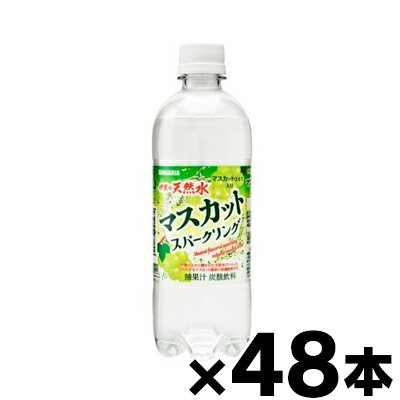 【送料無料】 サンガリア 伊賀の天然水 マスカットスパークリング 500mlPETx48本【※お取り寄せ品】 ※他商品同時注文同梱不可【6510】　4902179022158*48
