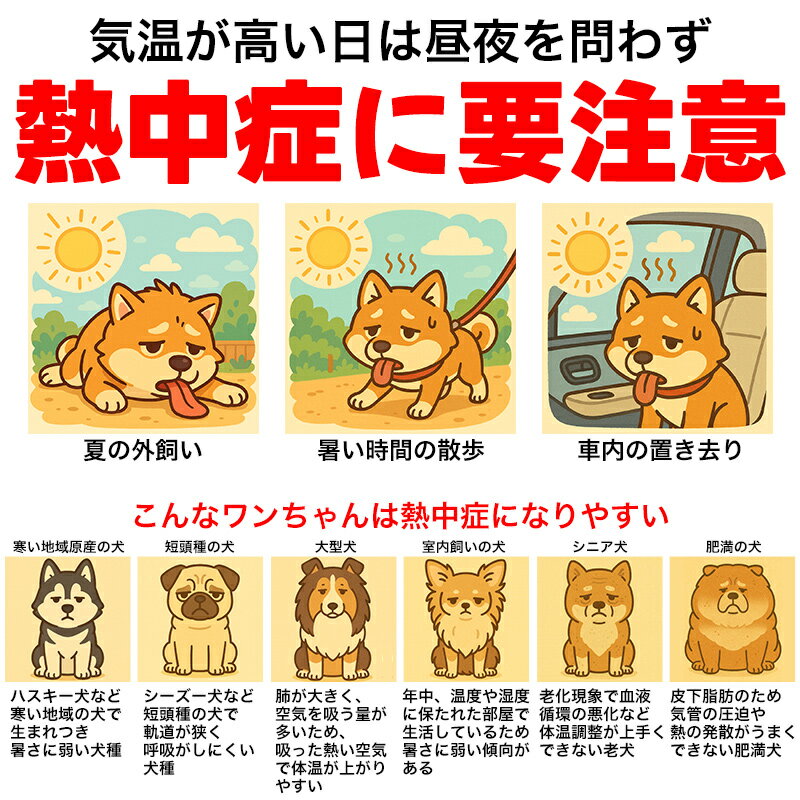 ペット用 ウォーターボトル ペット 水筒 犬 水筒 名入れ 名前入れ ステンレス 750ml 自動給水 給水ボトル 犬猫用 ペット用 給水器 携帯用 水飲み ボトル 水飲みボトル 水槽付き ランニング アウトドア 犬水筒 水飲み器 ボトル 熱中症対策 犬グッズ 猫グッズ 送料無料 naire 2