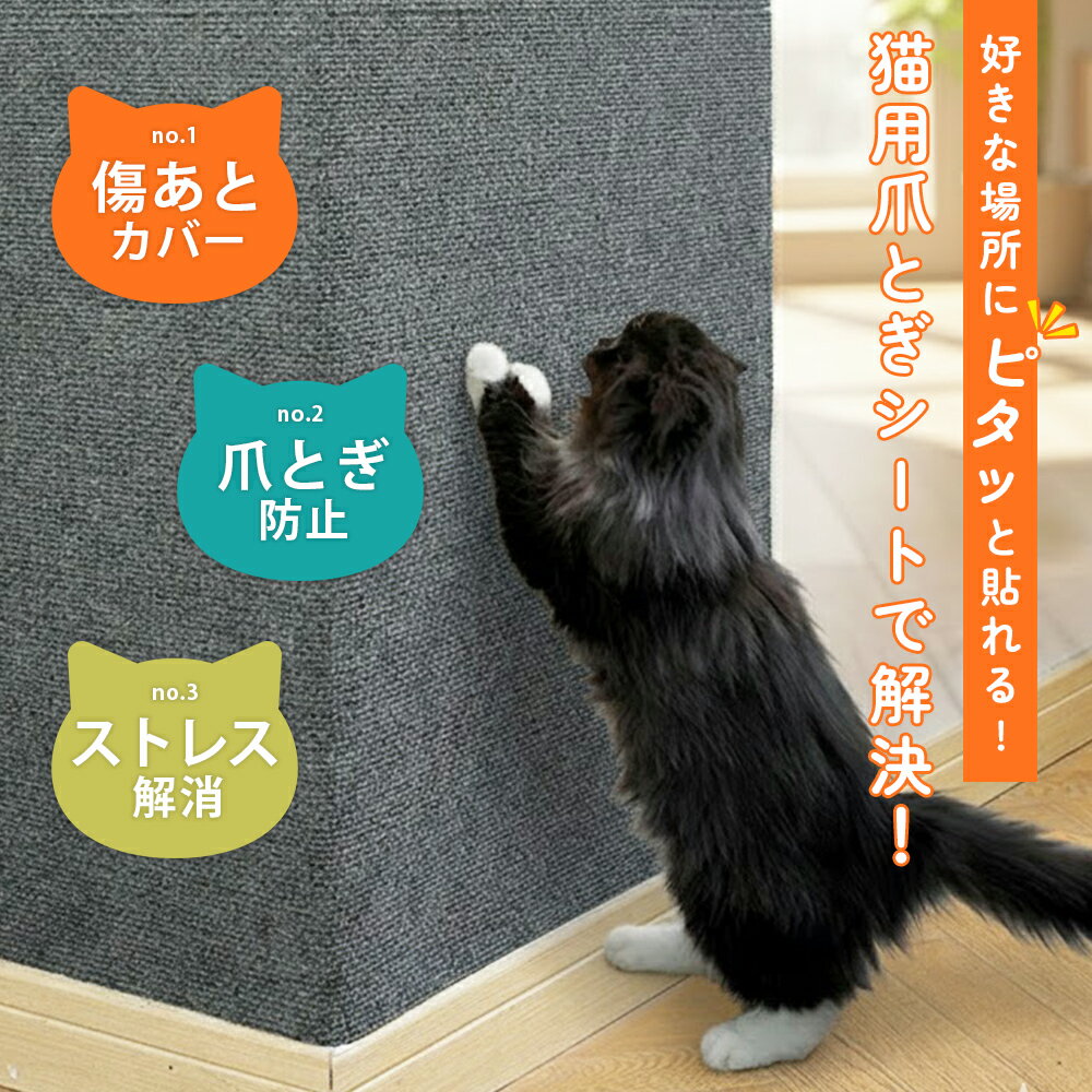 ＼楽天スーパーSALE★今だけ11%OFF／ 猫 爪とぎ シート 爪とぎ防止シート 爪研ぎ防止 シート 壁保護シート 爪とぎ カズでない 爪研ぎ ひっかき対策 シート カバーシール はがせる マット 傷を防止 ソファー ベッド 床畳 ドア 家具 柱 傷防止 壁に貼る 壁に貼れる