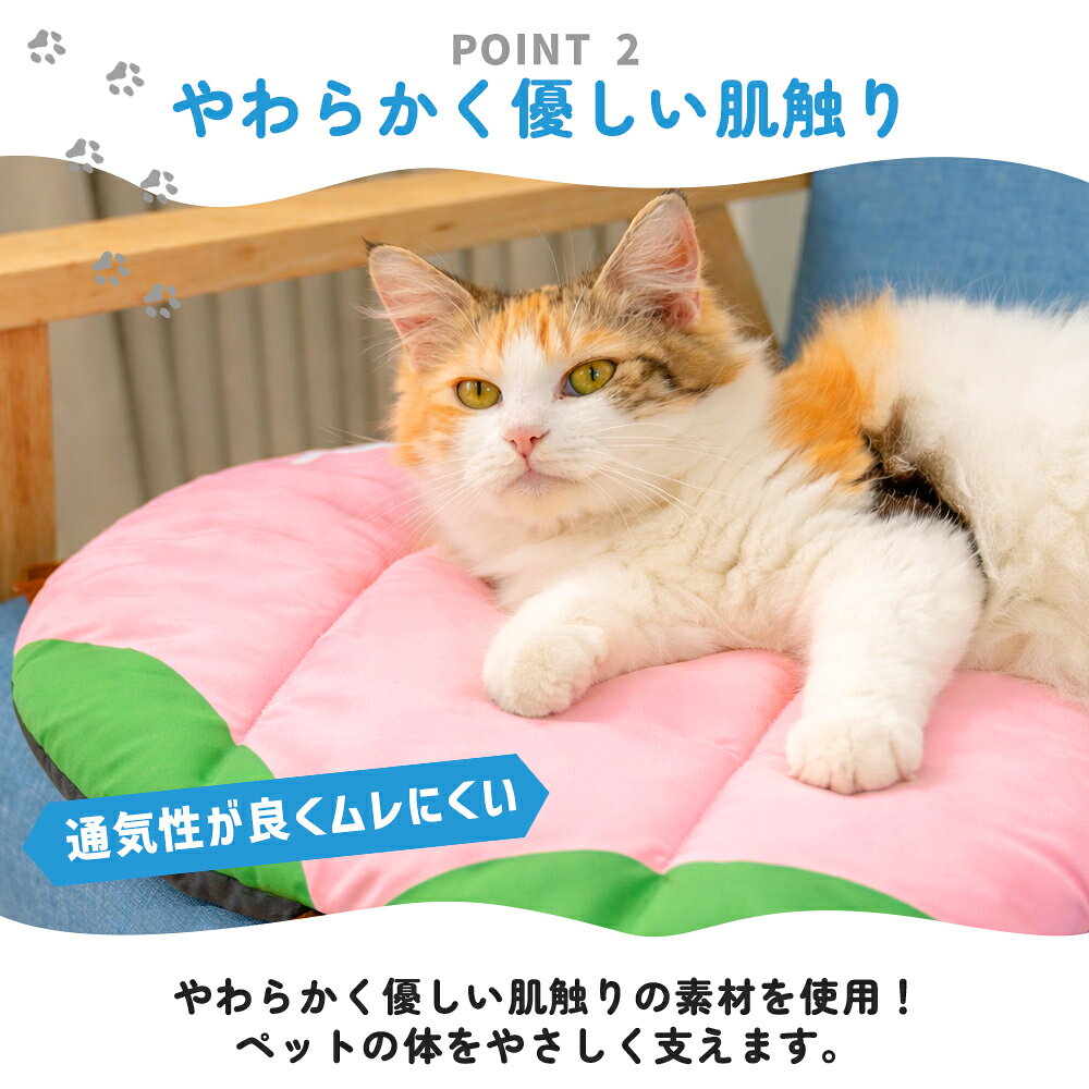 楽天スーパーSALE＜18％OFF＞ フルーツ型 果物 犬 猫 ベッド ペットベッド ペットマット 小型犬 中型犬 ふわふわ布団 寝床 寝具 ねこ いぬ クッション 滑り止め 柔らかい 春 夏 秋 冬 犬ベッド 睡眠 マット 猫用 犬用 おしゃれ かわいい foryou01-10000259 フォー・ユー1号店 サンプル画像3