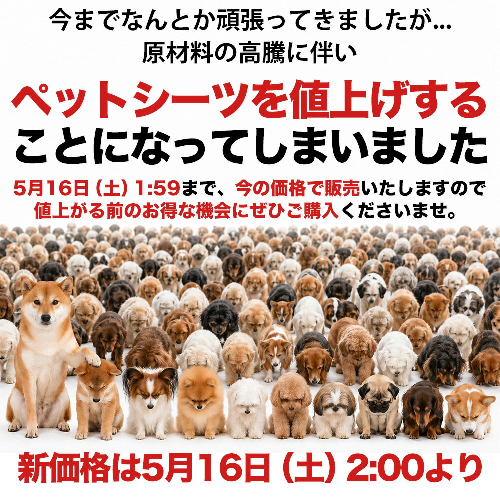 【5/16 2時に値上げします】ペットシーツ 薄型 ワイド レギュラー スーパーワイド ...