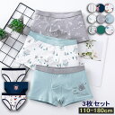 下着 ボクサーパンツ 男の子ショーツ 3枚セット キッズ 子供用インナー 男の子用 下着 ショーツ ブリーフ 肌着パンツ かわいい 高通気性 伸縮性 ジュニア学生 子供パンツ お洒落 110 120 130 140 150 160 男児 ジュニア 小学生