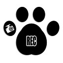 ドライブレコーダー REC カッティン