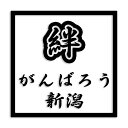 新潟県 カッティング ステッカー シール 絆 kizuna 一致団結 がんばろう 防水 車