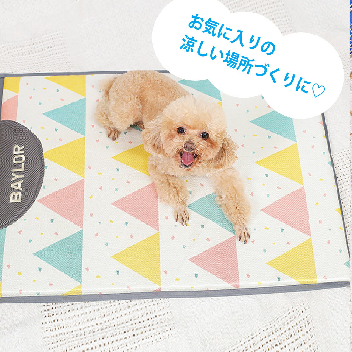 �ڥå��ѥ�����ޥå� �ڥåȡ��ڥåȥ��å� �����ʡ��� �ڥå��ѥ���ƥꥢ������ ������ޥå� �ڥåȥޥå� ���� ������ ǭ�� �ڥå����� �֥�󥱥å� ����...