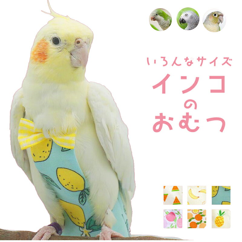 一部即納 鳥 鳥用おむつ リボン無し