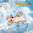 ペットベッド ペットマット 夏用 ひんやりマット 犬用ベッド 接触冷感マット ペット用 猫用ベッド アイスシルク生地 柔らかい 涼しい 夏対策 通気性いい ふん...