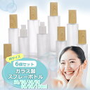 PIENSE 【 スプレーボトル 6本セット 20〜100ml 】 ガラス アトマイザー スプレー容器 20〜100ml スプレー ボトル ミスト 瓶 詰め替え...