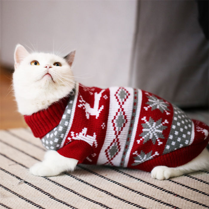 ペットウェア ペット服 ニット セーター 犬 ...の紹介画像2