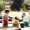 ガラス保存容器 密閉 コーヒー豆 キャニスター コルクの蓋 S/M/Lサイズ 食品保存瓶 保存缶 貯蔵タンク 大容量 収納便利 茶葉 砂糖 お菓子 小物 調味料入れ