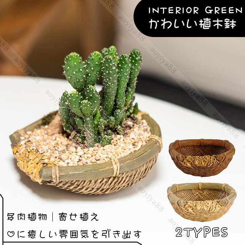 樂天商城 - 鉢 植木鉢 多肉植物 寄せ植え おしゃれ ミニ サボテン フラワーポット ガーデンポット かわいい 装飾 インテリア 飾り 箱庭 ガーデン