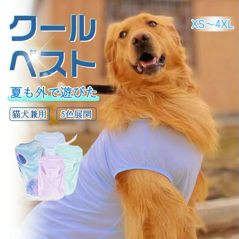 ڥå ٥  Ǯк Ҥ٥ 䴶  淿 Ҥ ܿ䴶 ڥå Ҥ٥ ڥå  ...