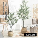 大型 フェイクグリーン オリーブ 造花 人工観葉植物 120cm/150cm 高い 室内 部屋 インテリア 風水 人工 ツリー おしゃれ リアル