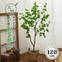 フェイク グリーン ツツジ科 人工観葉植物 フェイク 植物 緑 おしゃれ ツリー 人工 真似 大型 鉢植え 120cm 造花 葉 葉っぱ 室内 初心者(4)