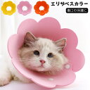 エリザベスカラー 猫用 犬用 ソフト やわらか 軽量 術後 柔らかい ヘルスケア 保護襟 傷舐め防止 噛む防止 術後ウェア 快適 調整可能 傷口保護 傷舐め防止...
