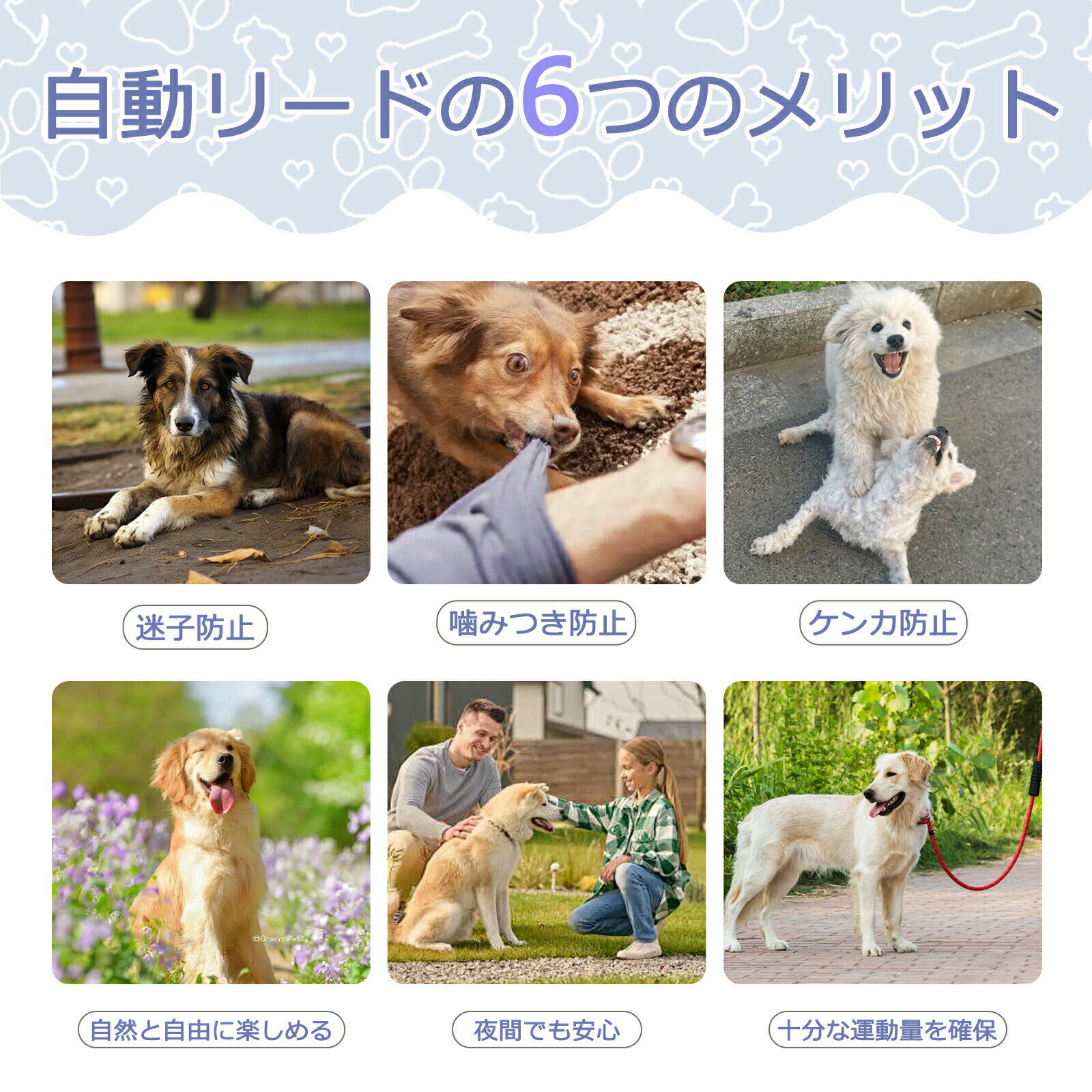 5m ���̥꡼�� �꡼�� ���꡼�ɿ��� ������ ���ѥ꡼�� ���󥰥꡼�� Ĺ���� ���Υ꡼�� ������� ���Ӥ�꡼�� �饤���� �緿�� ���ȥ�å� LED���� �ڥåȴ�����꼰 �ɥå��꡼�� ��ư���� �����ѥ饤���� ��󥿥å���Ǽ