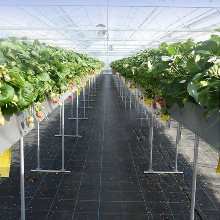 防草シート 幅0.5m×長さ200M 抗UV剤入り 除草シート 雑草防止シート 雑草 シート ...
