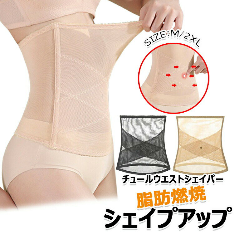 塼륦ȥѡڥץåסǳơۥå 륻å ʢ ᡢϾ 륻å Ӥ ȥѡ ð٥ ...