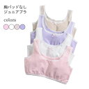 ハーフ ブラトップ 下着 夏 コットン 子供ブラ 女児 ブラジャー ノンワイヤー 女の子 薄手 カップなし キッズブラ 中学生 小学生