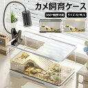 【6%OFFクーポン】亀の飼育ケース 亀 水槽 大きい カメ用水槽 初心者セット 蓋付き 収納機能 水交換超簡単 餌やりが便利 透明 軽量 両生飼育箱 亀ケージ...