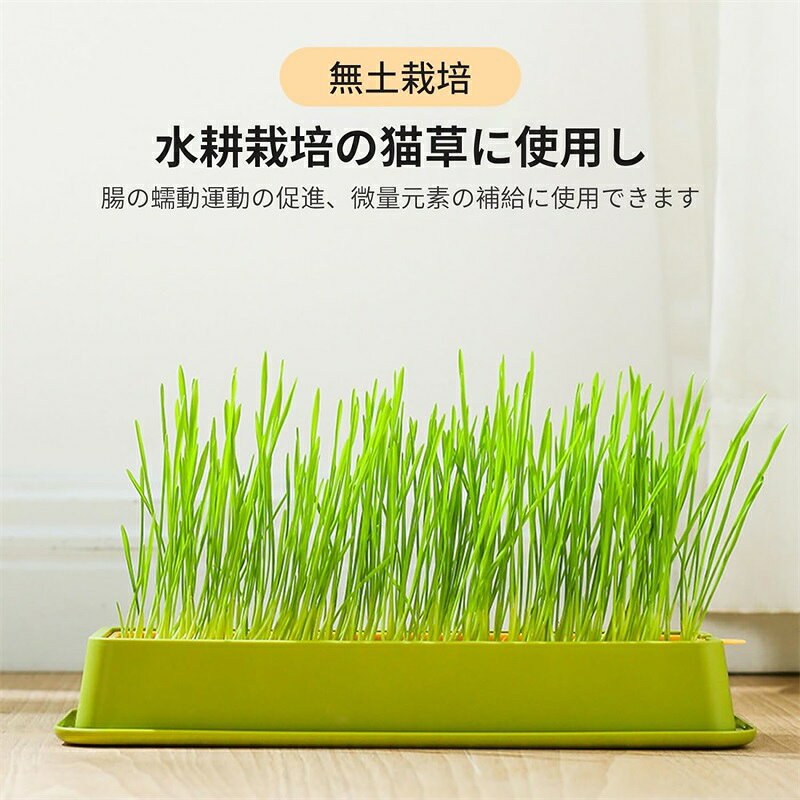 容器 猫草栽培鉢皿 鉢台 鉢植え台 猫草プランター 植物シャーレ　プラスチックキャ...