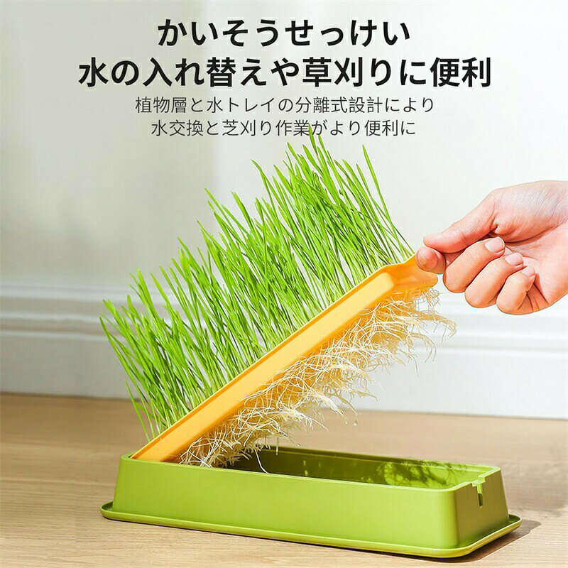 容器 猫草栽培鉢皿 鉢台 鉢植え台 猫草プランター 植物シャーレ　プラスチックキャ...