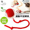 【6%OFFクーポン】猫 おもちゃ 自動 動く猫ボールおもちゃ 猫おもちゃ ボール 電動おもちゃ 電気自動おもちゃは USB 充電付き自動 360°自動回転ボール インタラクティブな猫用おもちゃボール 猫用長い尾付き電動自動おもちゃ 猫遊び道具 ストレス解消 運動不足解消(4)