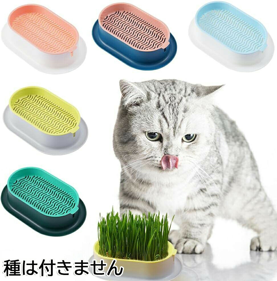容器 3個セット 猫草栽培鉢皿 鉢台 鉢植え台 猫草プランター 植物シャーレ　プラス...