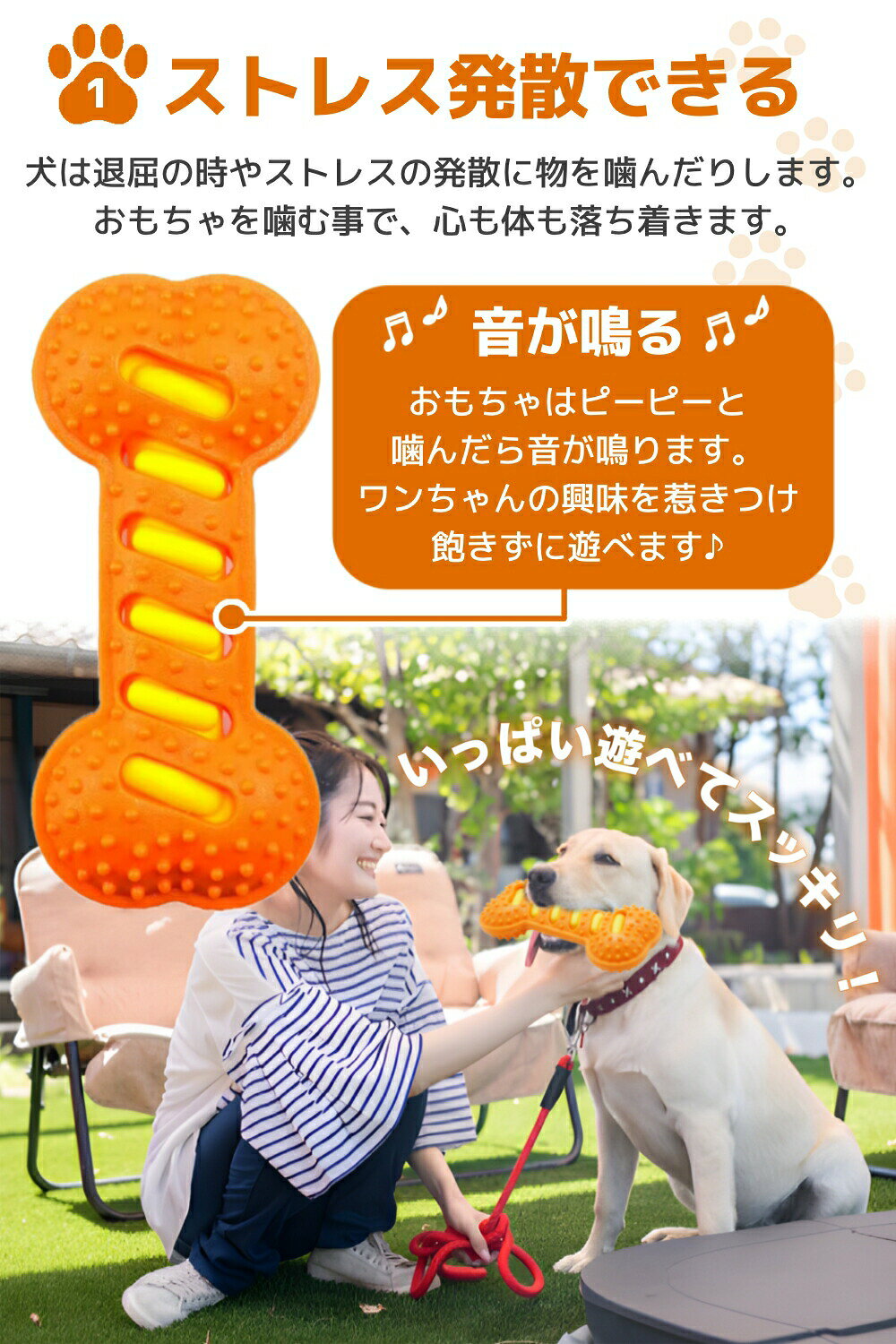 犬用おもちゃ 音の出る 歯ぎしり 口ケア 分離不安対策 孤独感解消 ストレス発散 運...