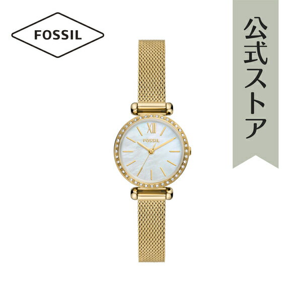 フォッシル フォッシル 腕時計 アナログ レディース ゴールド ステンレススチールメッシュ TILLIE MINI BQ3898 2023 秋 FOSSIL 公式