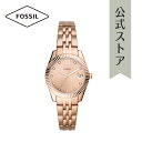 フォッシル 腕時計 レディース FOSSIL 時計 ES4898 SCARLETTE MINI 公式 ブランド ビジネス 防水 誕生日 プレゼント 記念日 ギフト その1