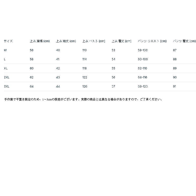大きいサイズ レディース セットアップ 秋服 新作 2点セット トップス ワイドパン...