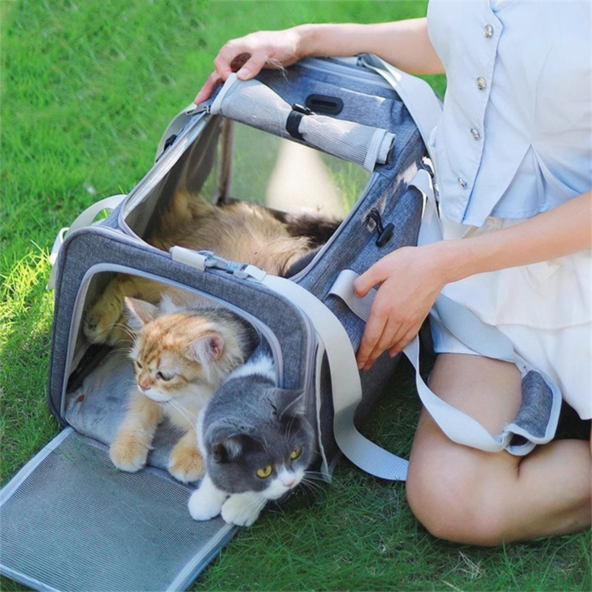 ペットリュック 折りたたみ 猫 キャリー 軽量 小型犬 キャリーバッグ 通気性 洗え...