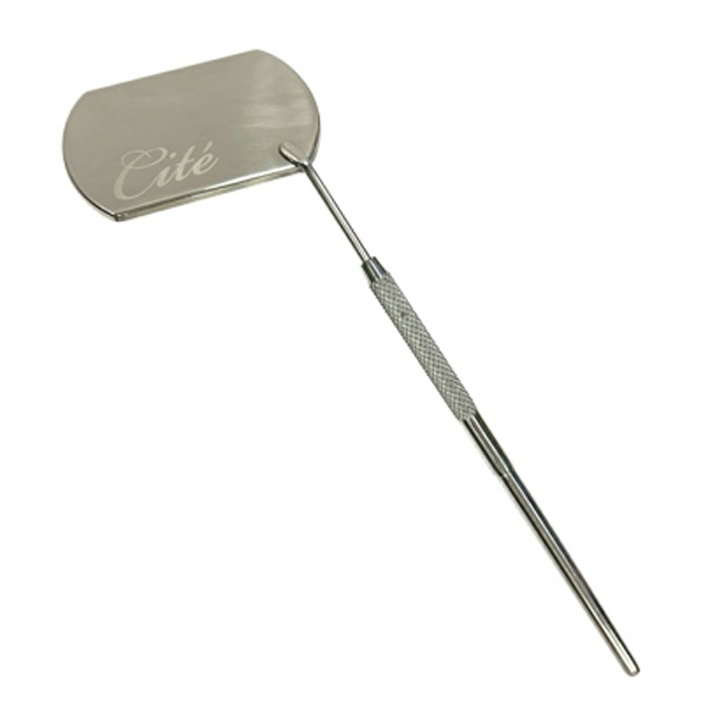 【Cite】チェックミラー