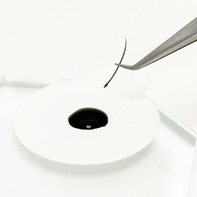 【Foula】FastGlue3ml