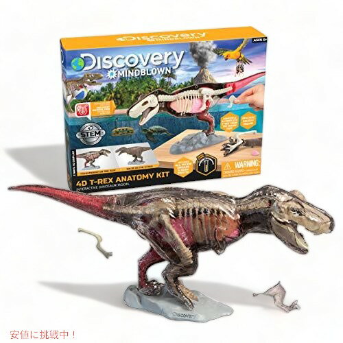 恐竜 T-Rex 動物 解剖 骨 模型 立体 モデル 4D 教材 入学祝い Famemaster Founderがお届け!