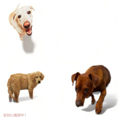 犬用トレーニングマット WSpring エサディスペンサーマット Founderがお届け!