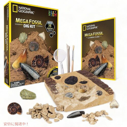 メガフォッシルディッグキット NATIONAL GEOGRAPHIC 化石発掘キット Founderがお届け!のサムネイル
