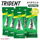 6個セット Trident トライデント Spearmint Sugar Free Gum スペアミント 無糖 ガム 3パック入り x 6個(1パック 14個包装入り)