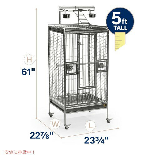 Play top Bird Cage ���ƥ�쥹 �ץ쥤�ȥå� �С��ɥ����� ���ƥ�쥹�������� �淿 Stainless Steel Medium
