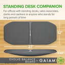 バランスボード Gaiam 05-62410 スタンディング用ボード Founderがお届け! 2